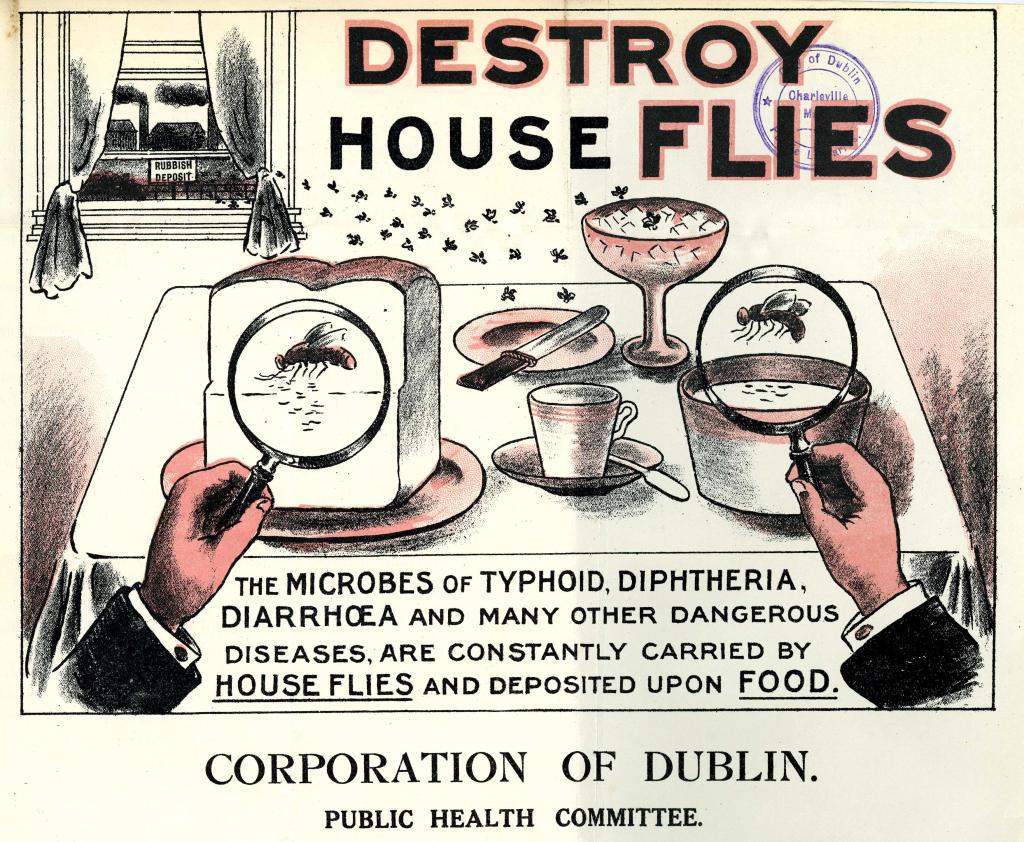 DD033 The Fly Peril, 1914